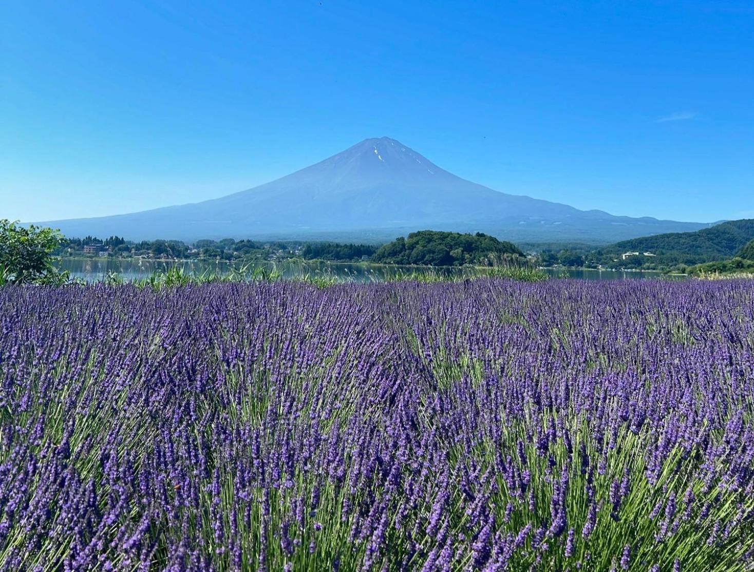 Moonlightvilla 河口湖大橋 Fujikawaguchiko Esterno foto